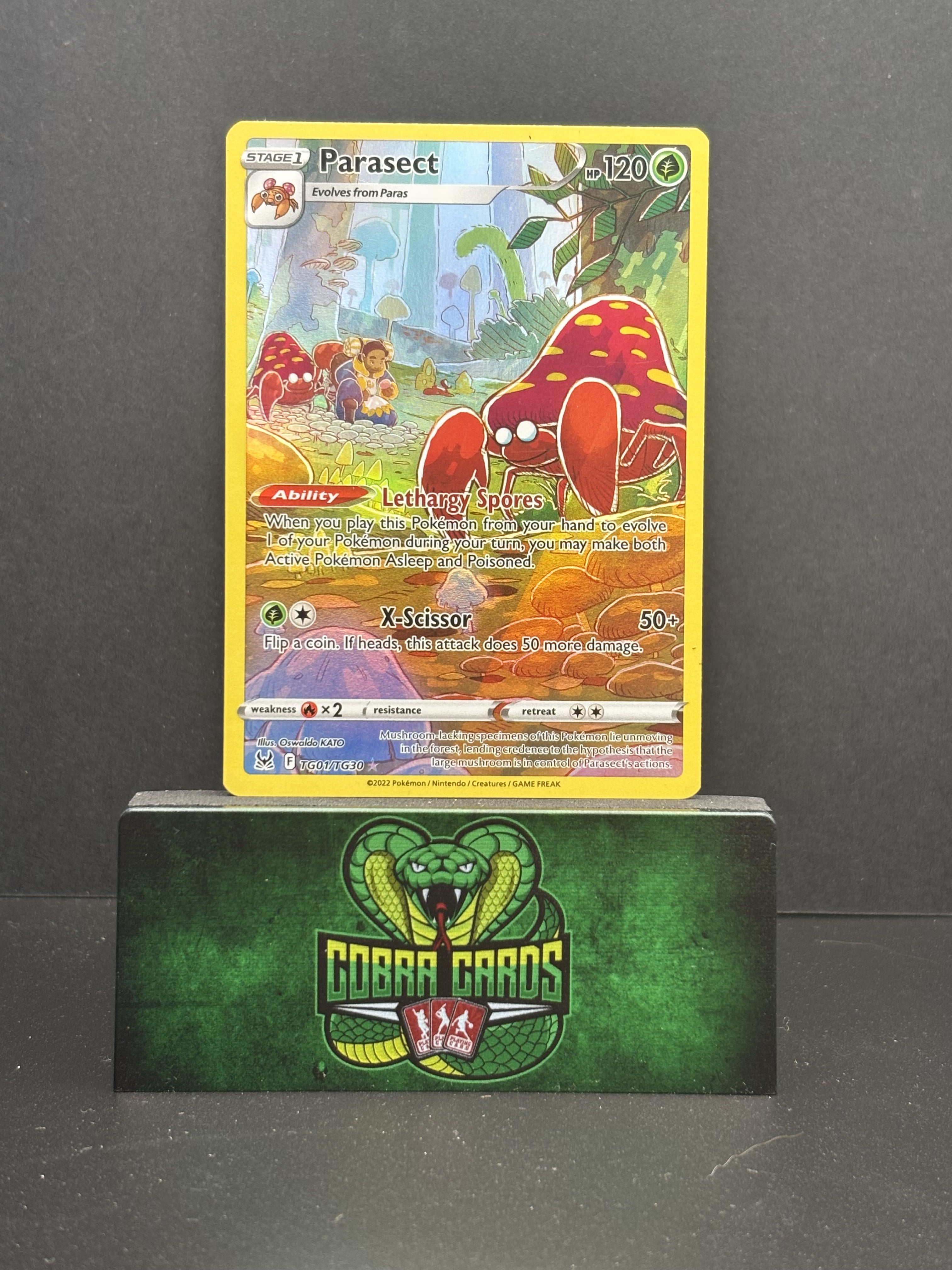 lost origin rare card Aerodactyl V & VStar Colorless Retreat Cost Pokemon Lost Origin Cards