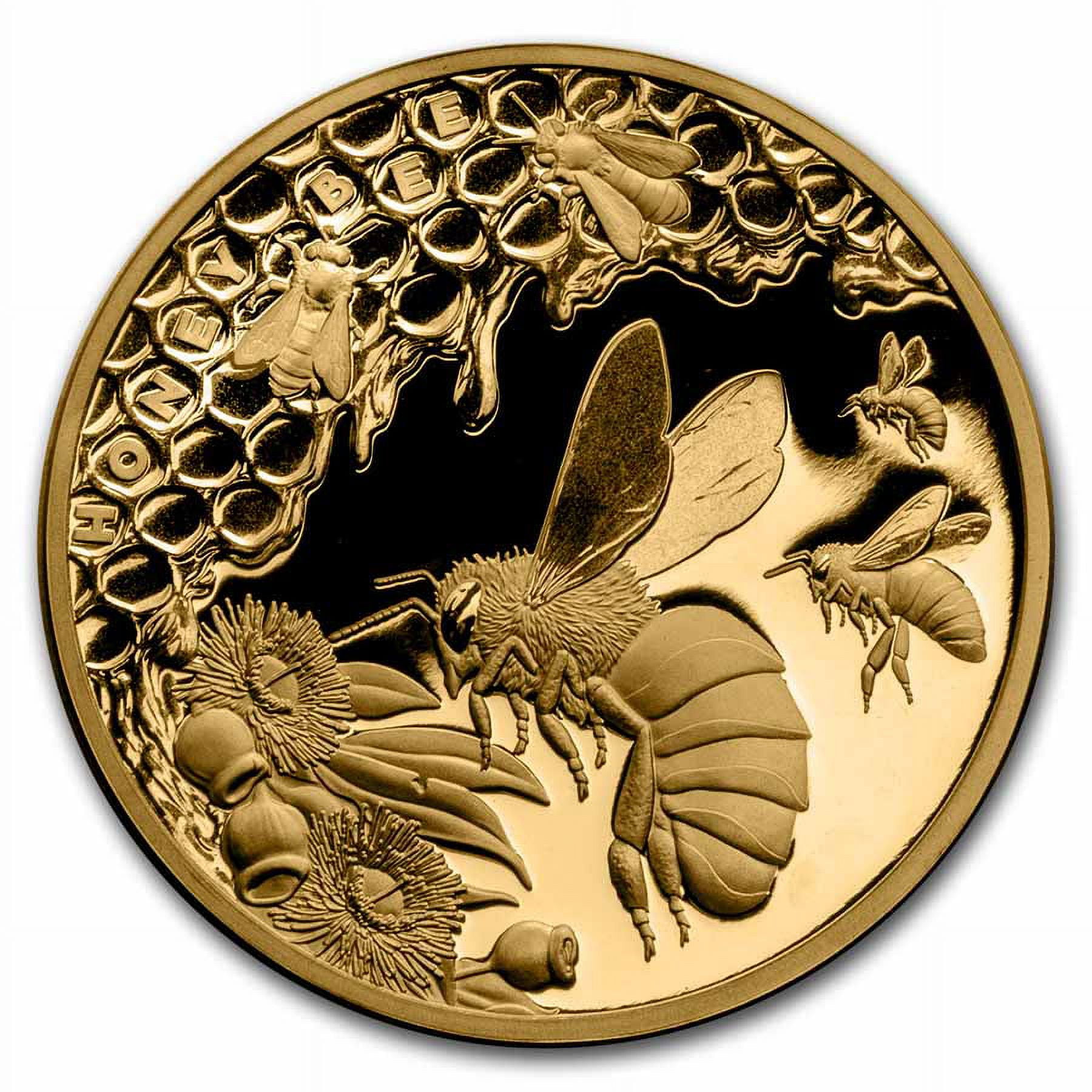 Welcome to Infinity Coins
