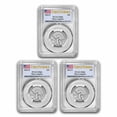 thumbnail image 1 of 2022-P/D/S Maya Angelou Women's MS-66 PCGS (FS) 3-Coin Set, 1 of 4