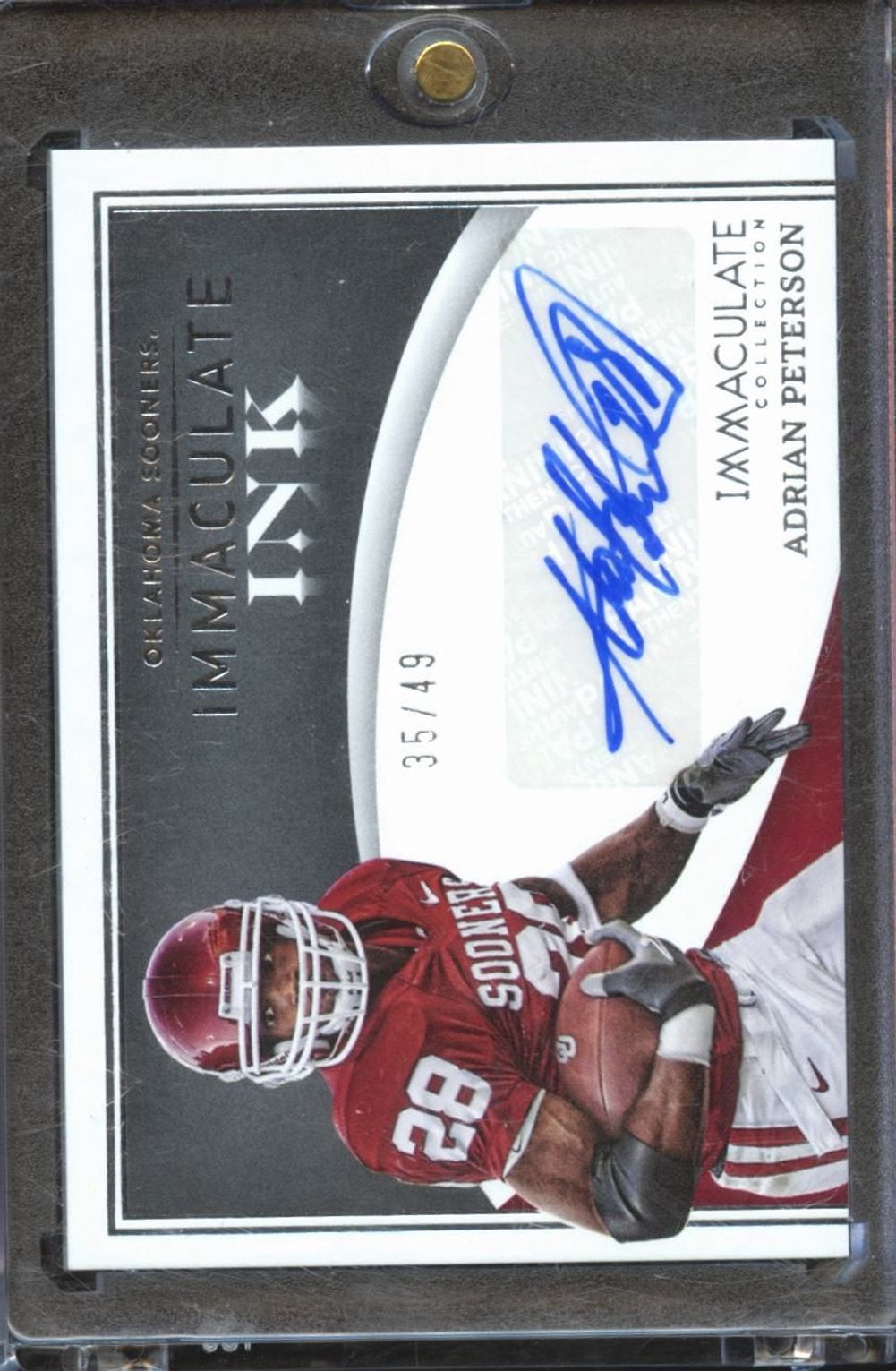 Immaculate Panini