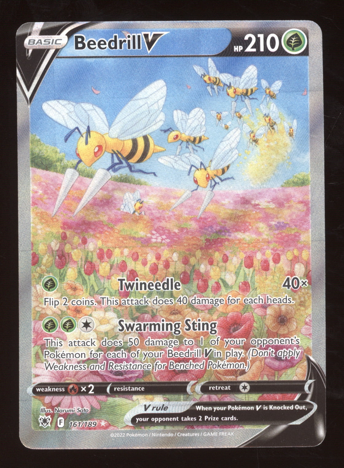Beedrill Card Beedrill Card