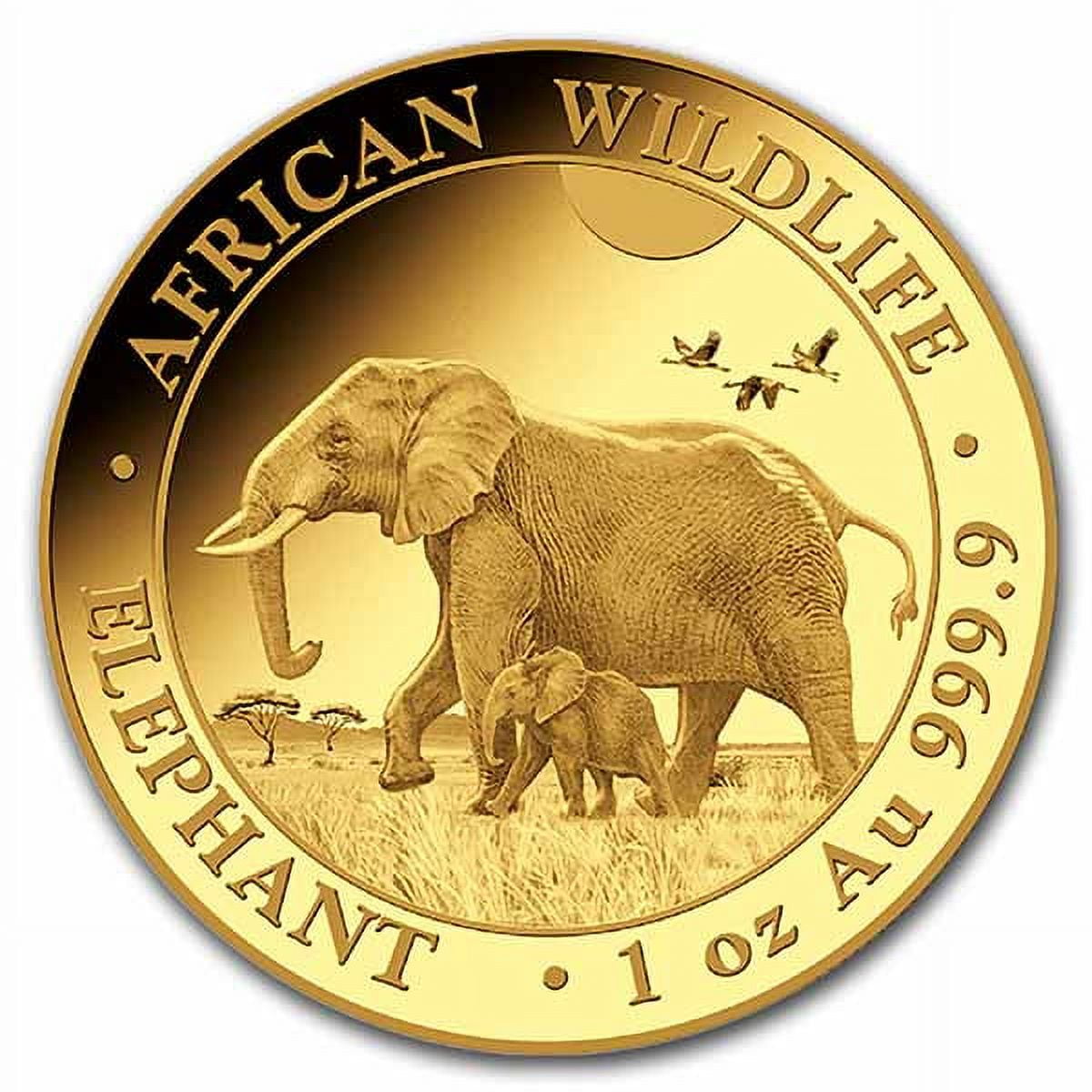 2022 Somalia 1 oz Gold Elephant Coin BU - Walmart.com