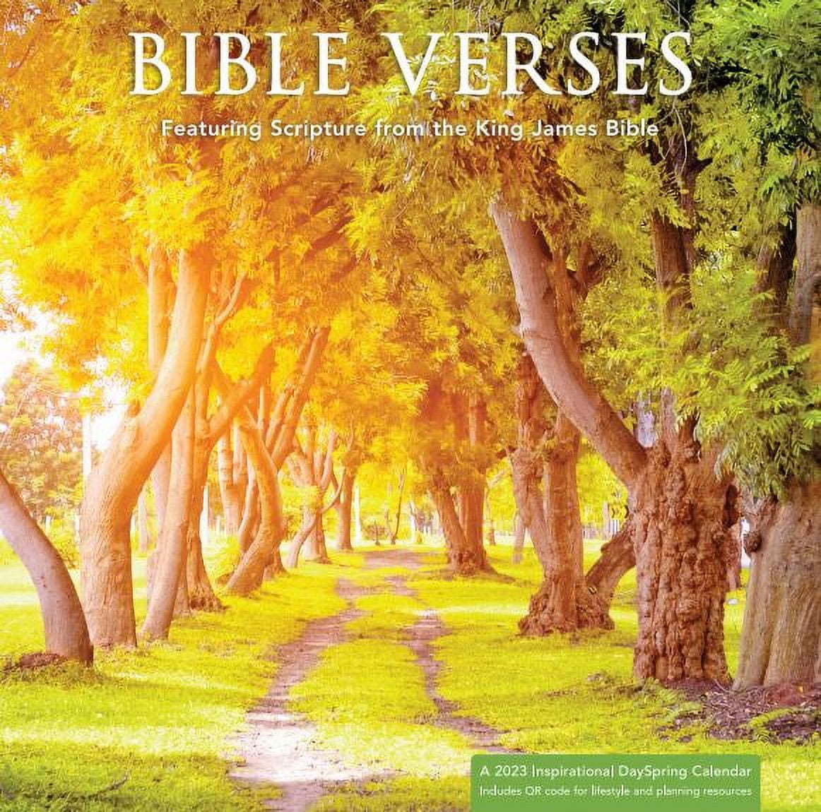 2023-12 Month Calendar-Bible Verses 12x12 Hanging Wall Calendar by DaySpring