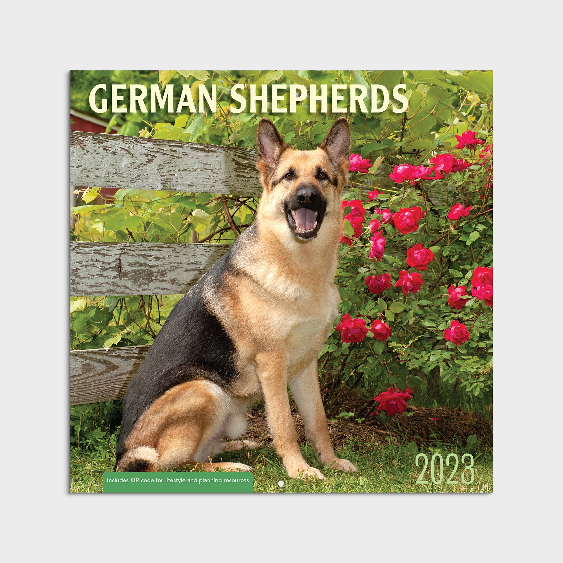 2023 - 12 Month Calendar-German Shepherd - 12x12 Hanging Wall Calendar by DaySpring