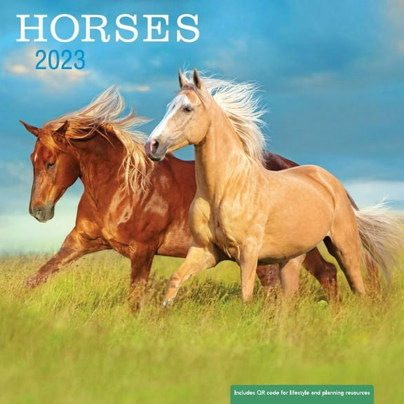 2023- 12 Month Calendar-Horses 12x12 Hanging Wall Calendar by DaySpring
