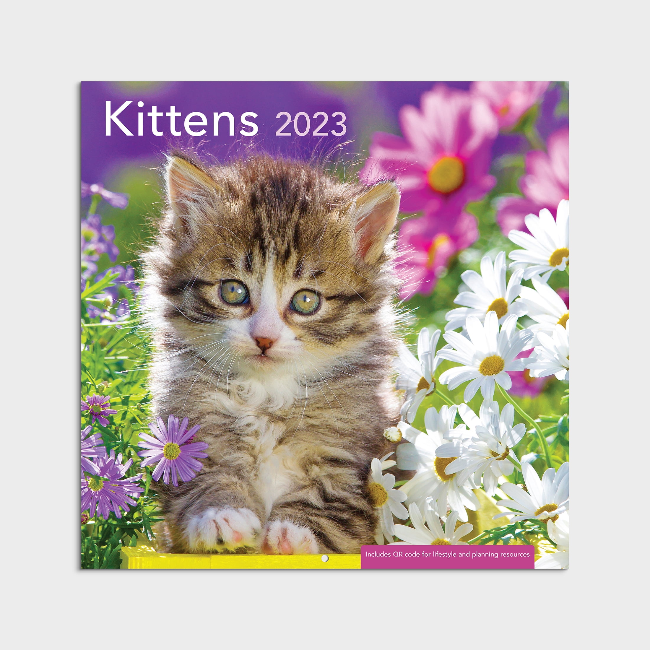 2023-12 Month Calendar- Kittens 12x12 Hanging Wall Calendar by DaySpring
