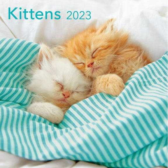 2023-12 Month Calendar- Kittens 12x12 Hanging Wall Calendar by DaySpring