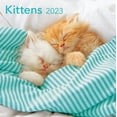 thumbnail image 1 of 2023-12 Month Calendar- Kittens 12x12 Hanging Wall Calendar by DaySpring, 1 of 5