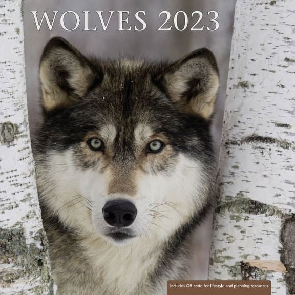2023- 12 Month Calendar- Wolves 12x12 Hanging Wall Calendar by DaySpring