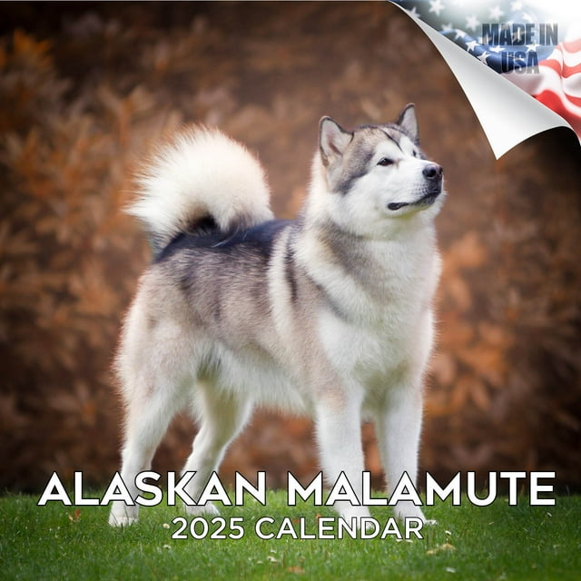 2024 2025 Alaskan Malamute Calendar Dog Breed Monthly Wall Calendar 2024 2025 Alaskan Malamute Calendar Dog Breed Monthly Wall Calendar