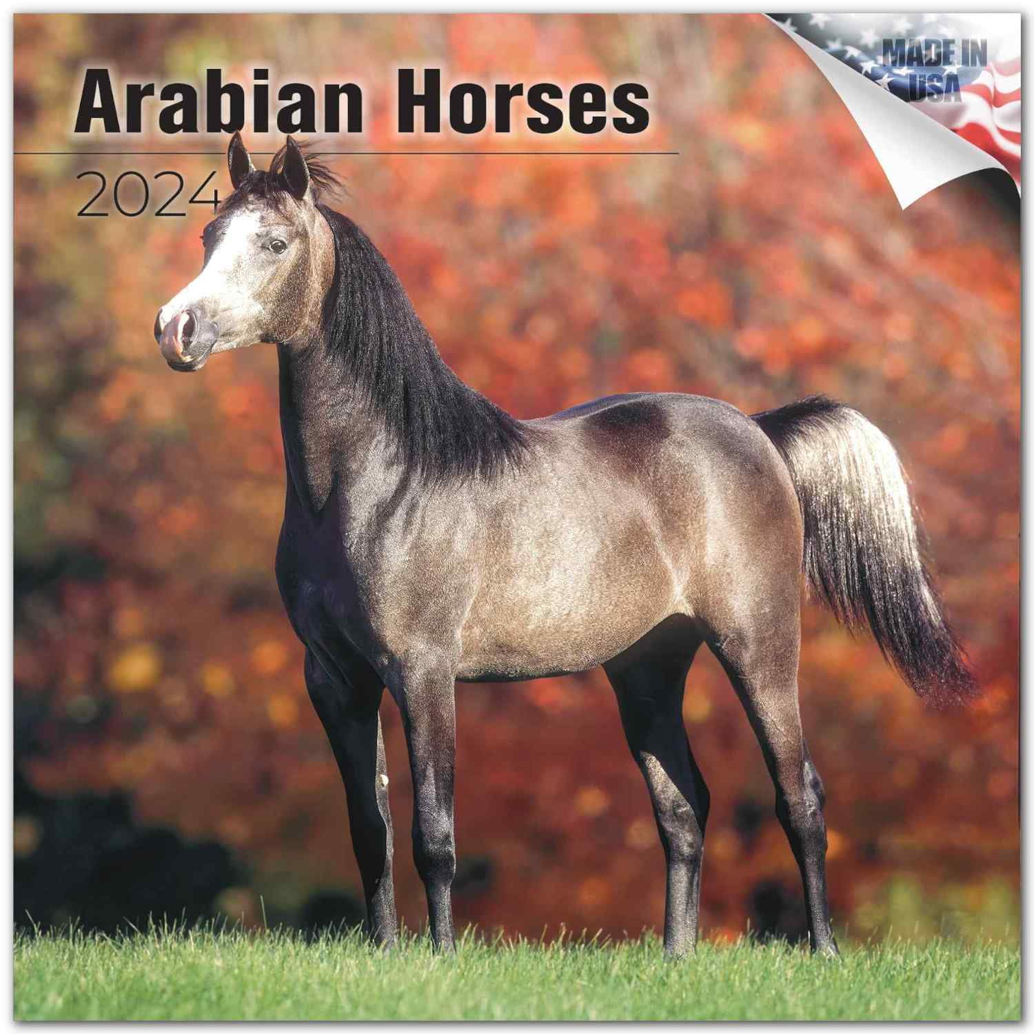2023 2024 Arabian Horses Calendar Equestrian Monthly Wall Calendar