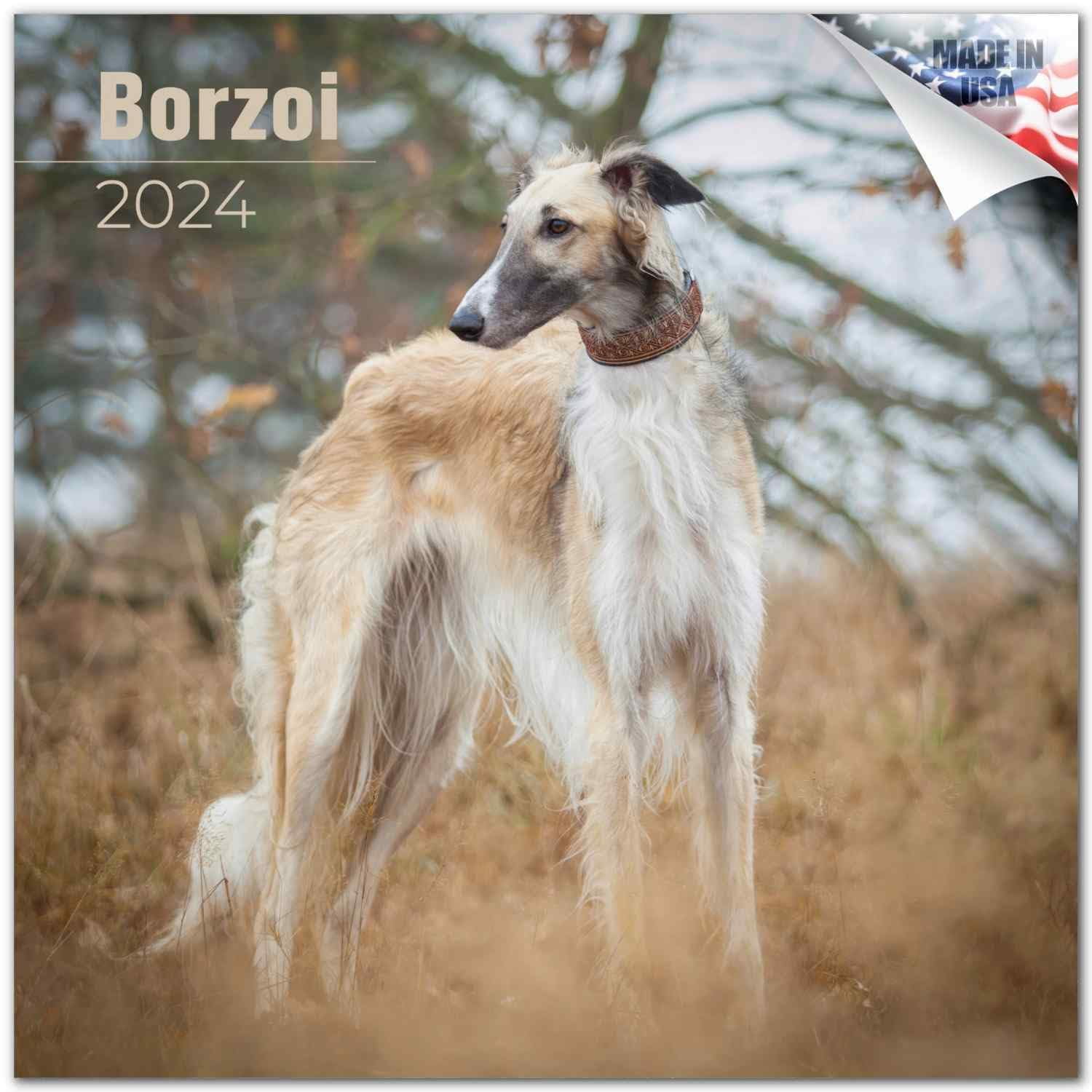 2023 2025 Borzoi Calendar Dog Breed Monthly Wall Calendar 12 x 24