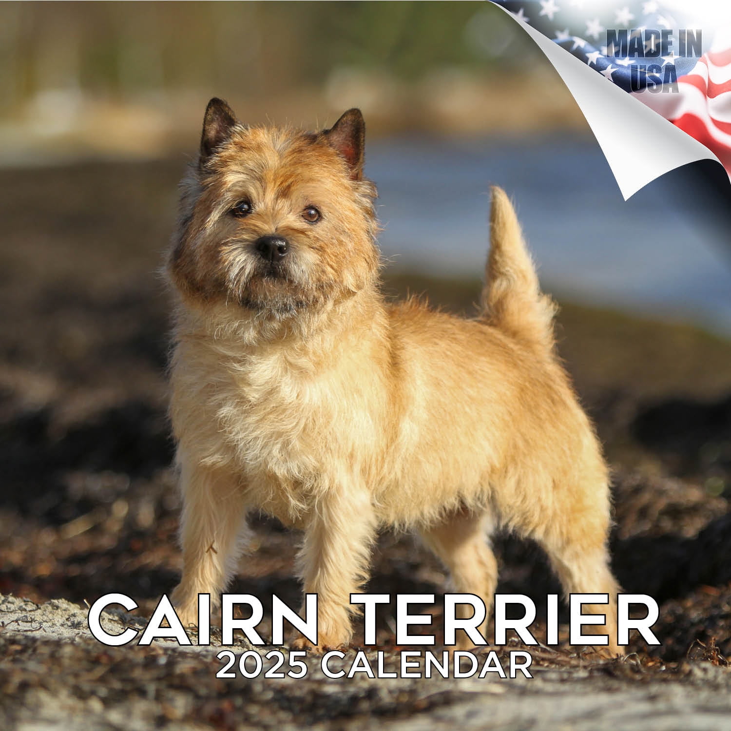 2024 2025 Cairn Terrier Calendar Dog Breed Monthly Wall Calendar 12