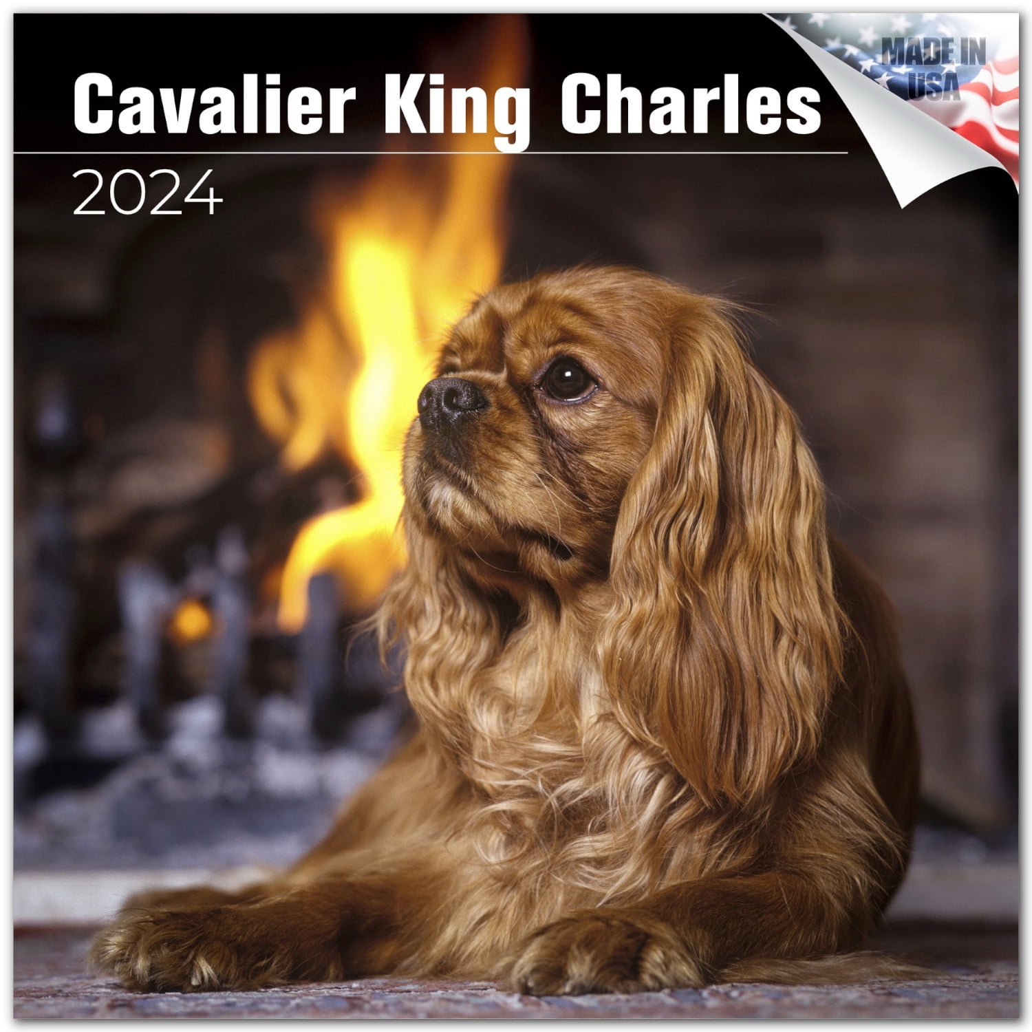2023 2024 Cavalier King Charles Calendar Dog Breed Monthly Wall 2023 2024 Cavalier King Charles Calendar Dog Breed Monthly Wall