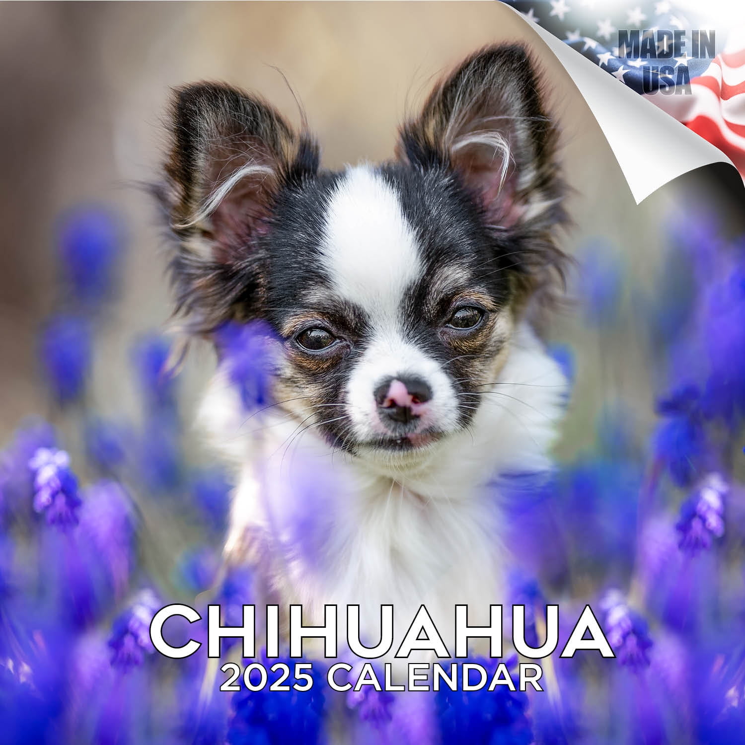 2024 2025 Chihuahua Calendar Dog Breed Monthly Wall Calendar 12 x