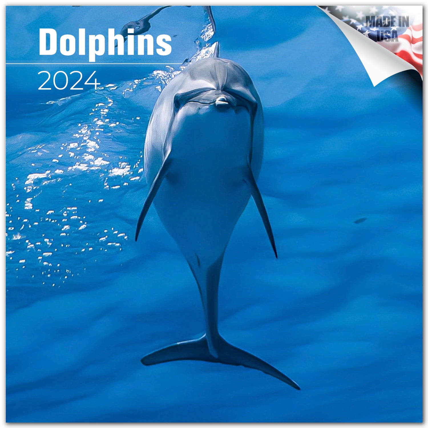 2023 2024 Dolphins Calendar - Cute Animal Sealife Monthly Wall