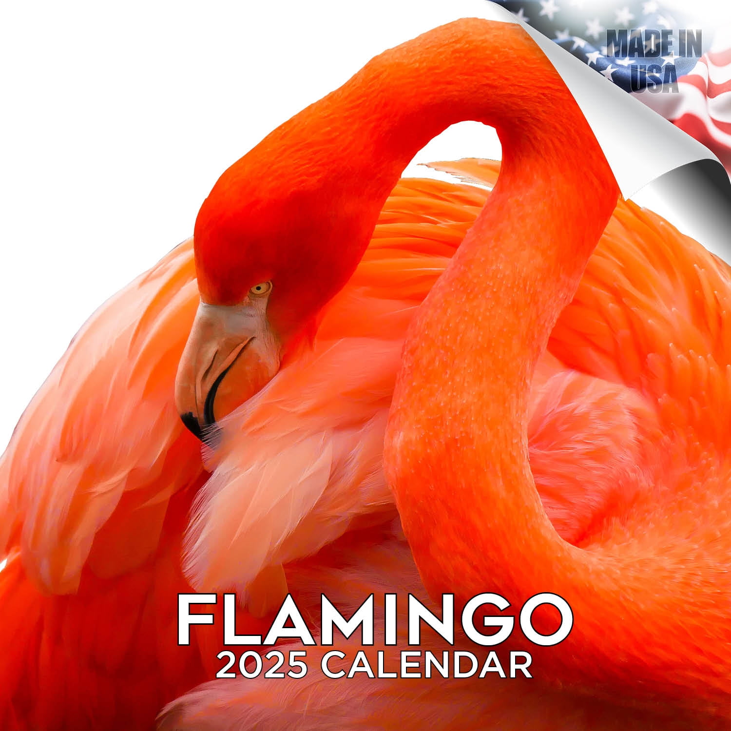 2024 2025 Flamingo Calendar Cute Animal Bird Monthly Wall Calendar