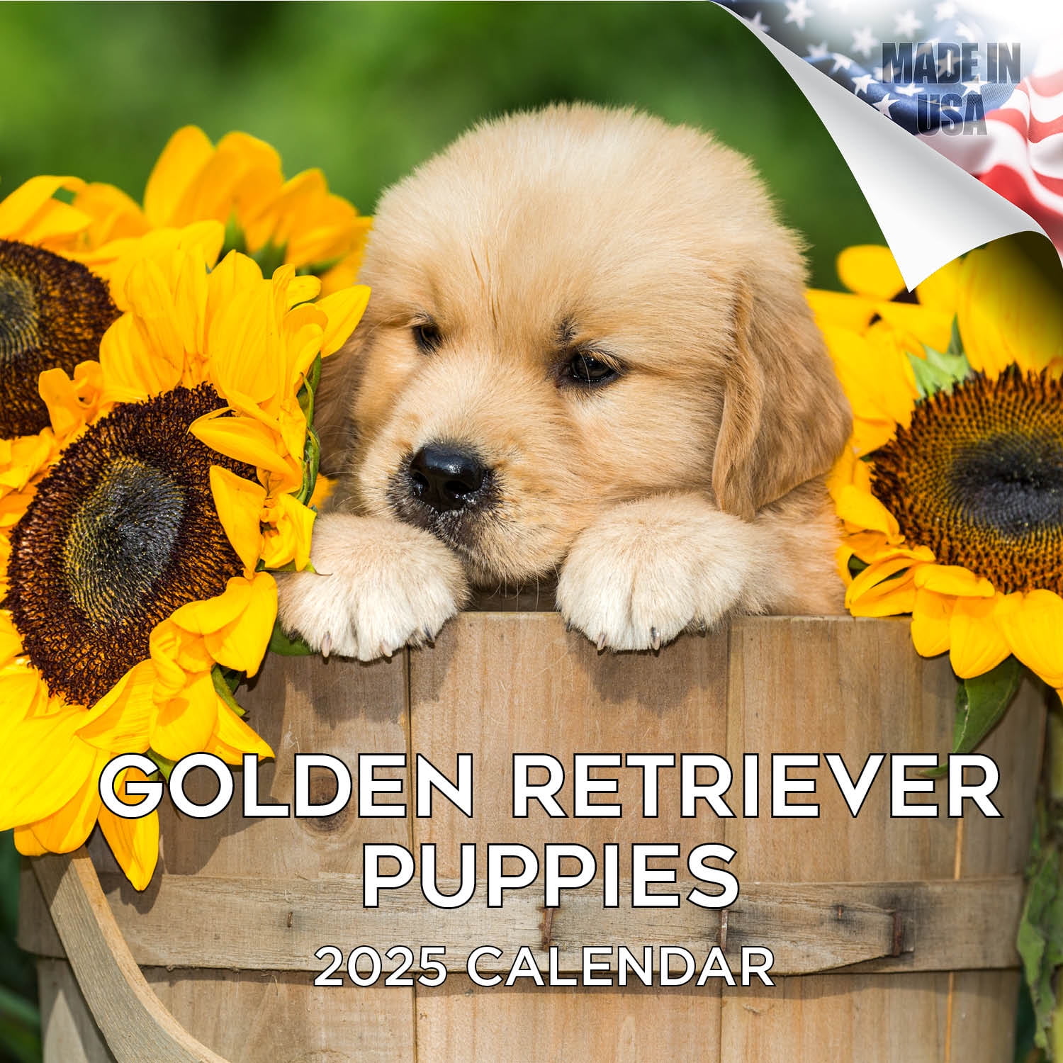 2024 2025 Golden Retriever Puppies Calendar Dog Breed Monthly Wall