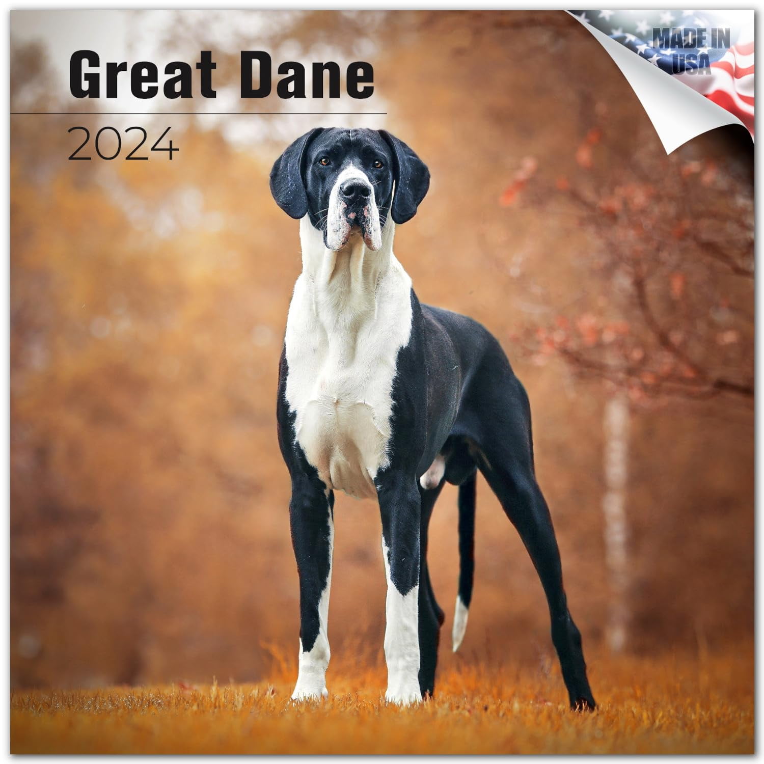 2023 2024 Great Dane Calendar Dog Breed Monthly Wall Calendar 12 x
