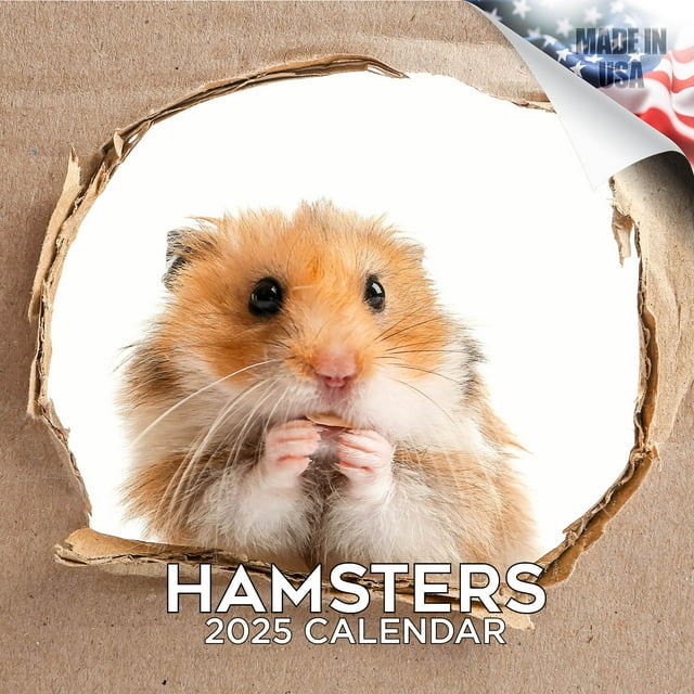 2024 2025 Hamsters Calendar Cute Animal Monthly Wall Calendar 12 x