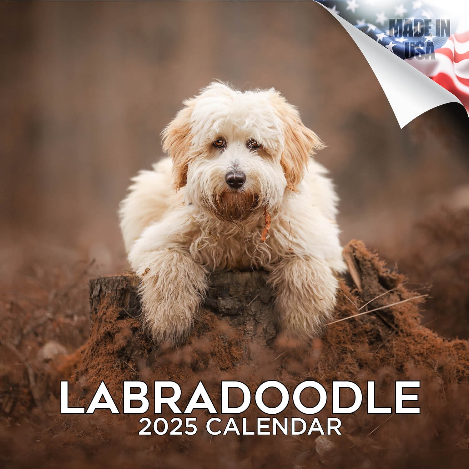 2024 2025 Labradoodle Calendar Dog Breed Monthly Wall Calendar 12 x