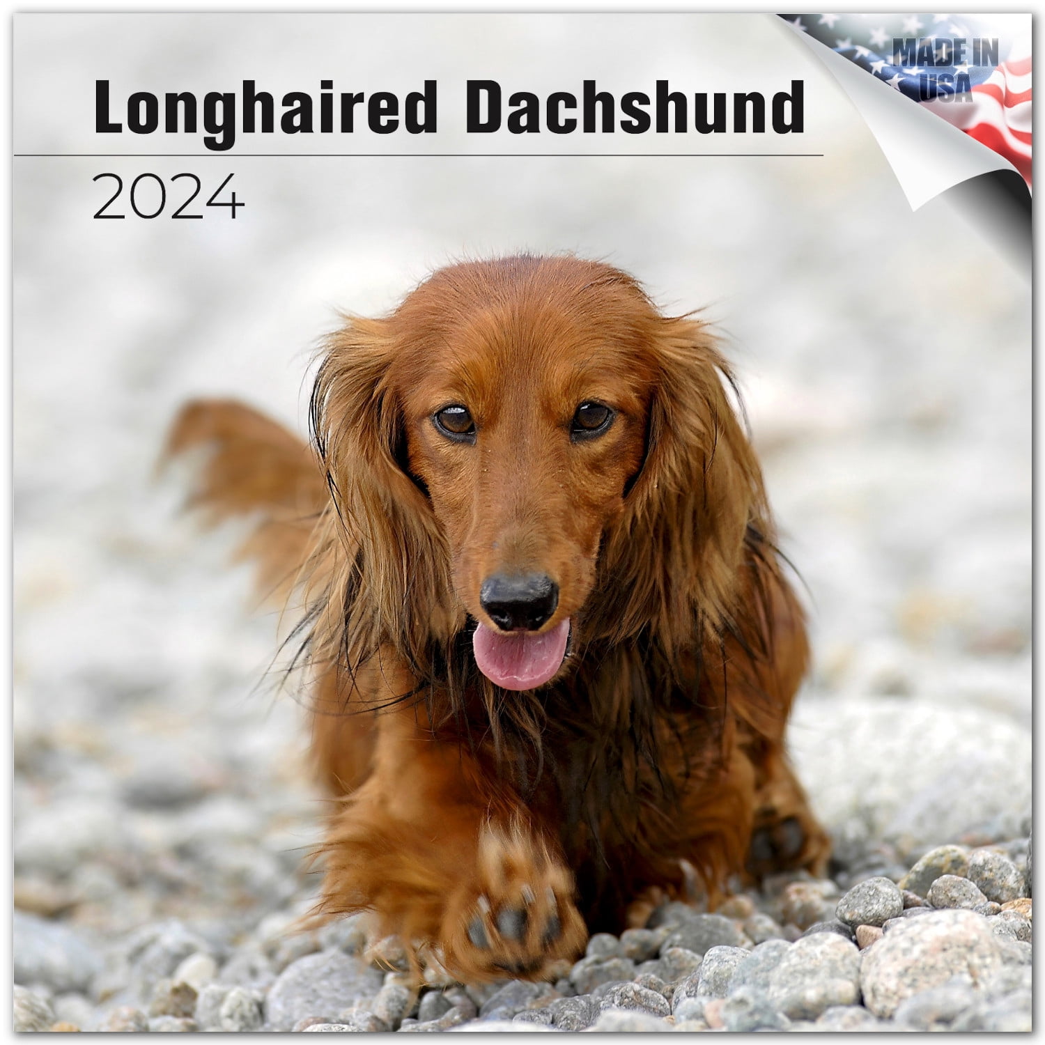2023 2024 Longhaired Dachshund Calendar - Dog Breed Monthly Wall Calendar -  12 x 24 Open - Thick No-Bleed Paper - Giftable - Academic Teacher's Planner  Calendar Organizing & Planning - Made in USA - Walmart.com