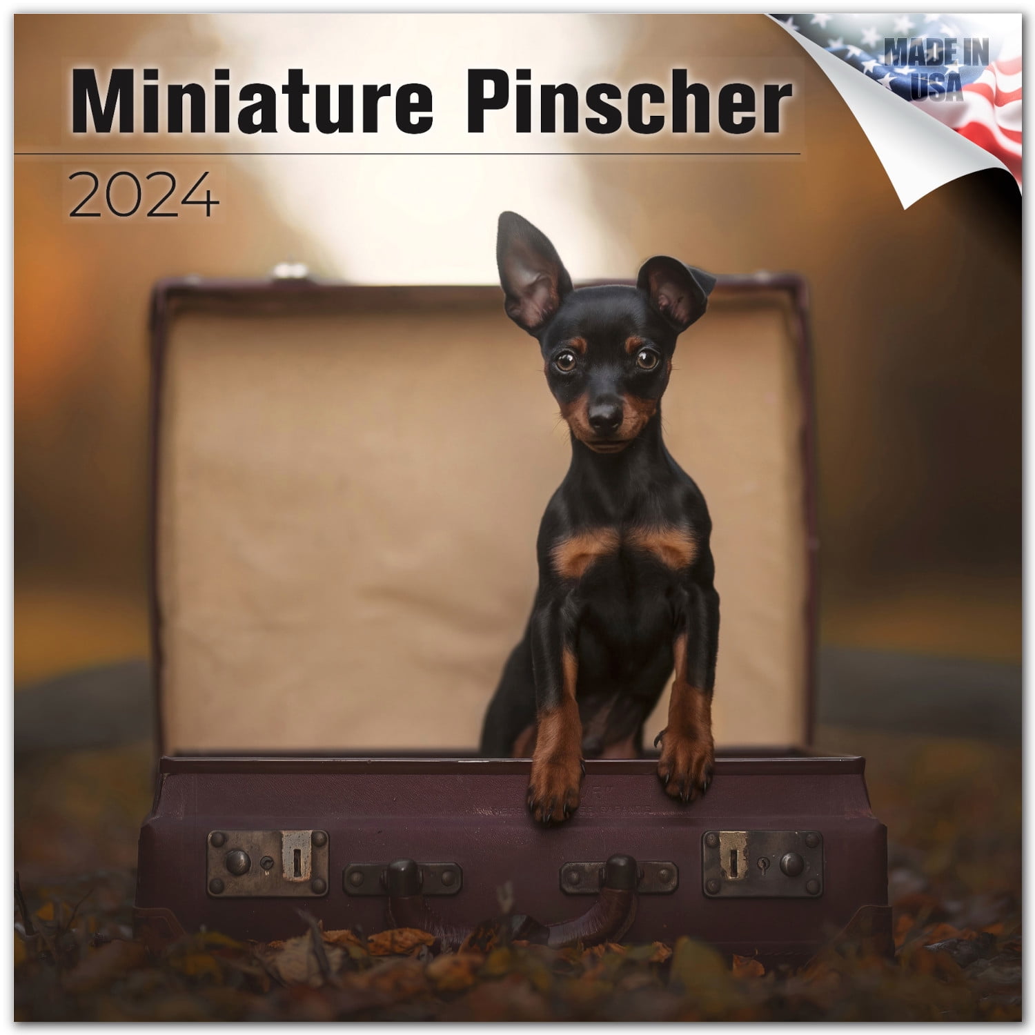 Pinscher x 2025