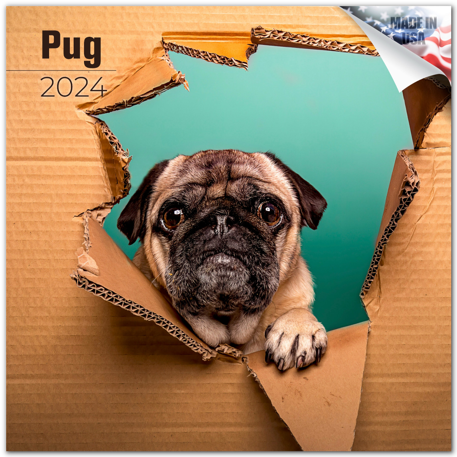 2023-2024-pug-calendar-dog-breed-monthly-wall-calendar-12-x-24-open