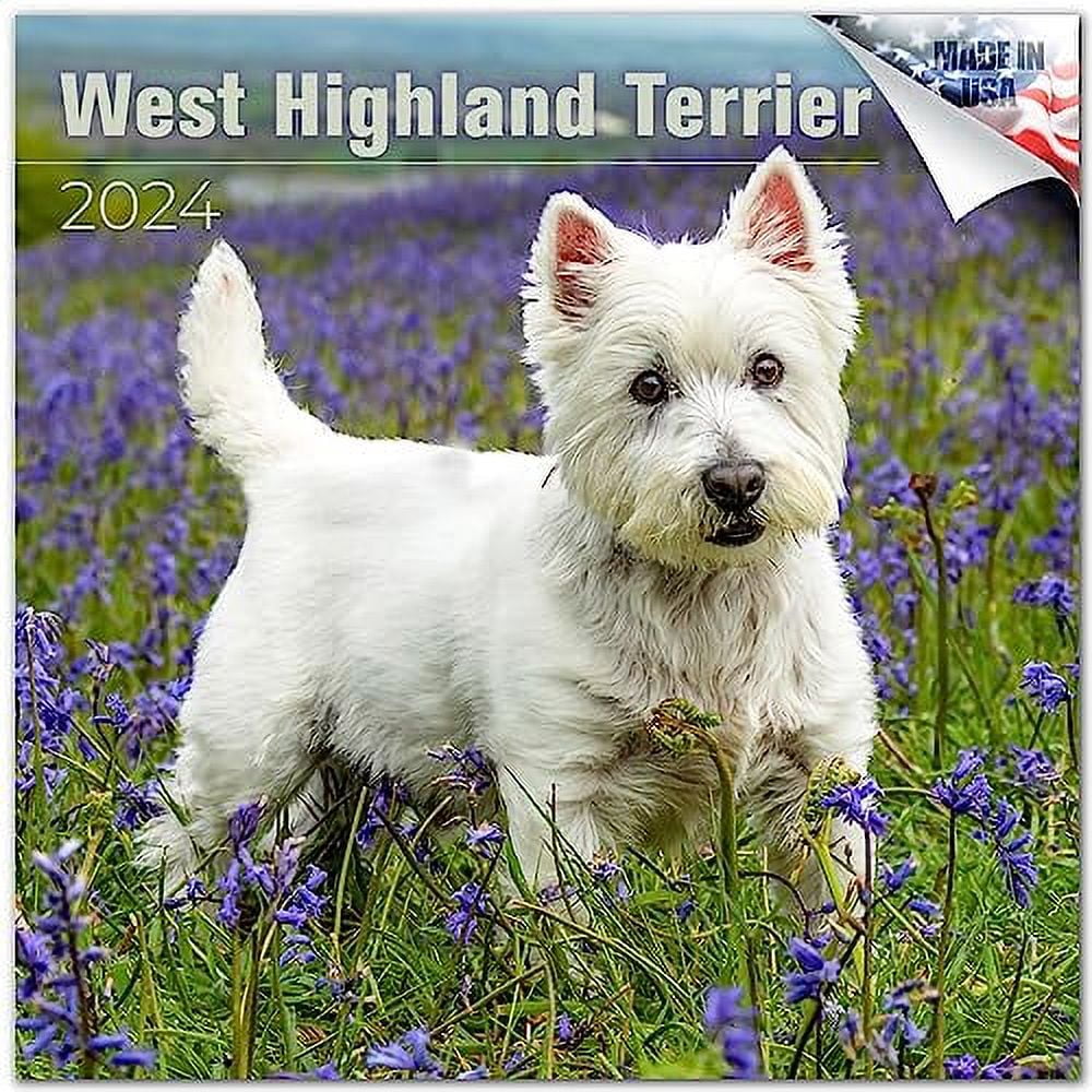 2023 2024 West Highland Terrier Calendar Dog Breed Monthly Wall