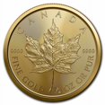 thumbnail image 1 of 2023 Canada 1/2 oz Gold Maple Leaf BU, 1 of 2