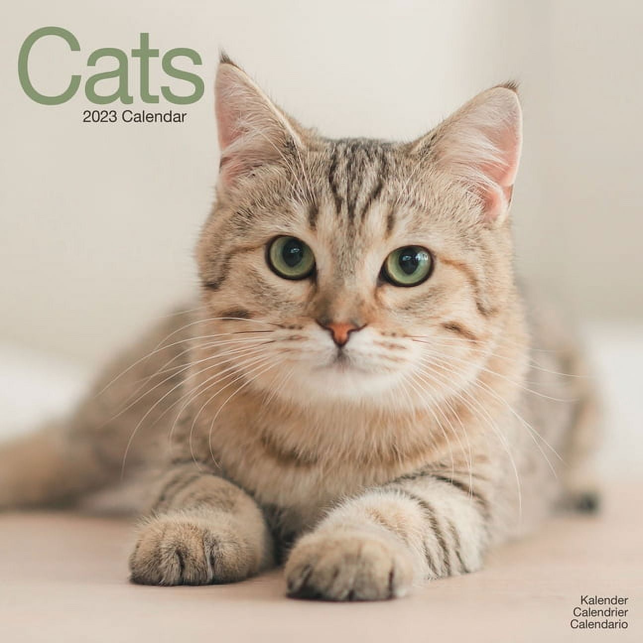 2023 Cats Wall Calendar (Other)