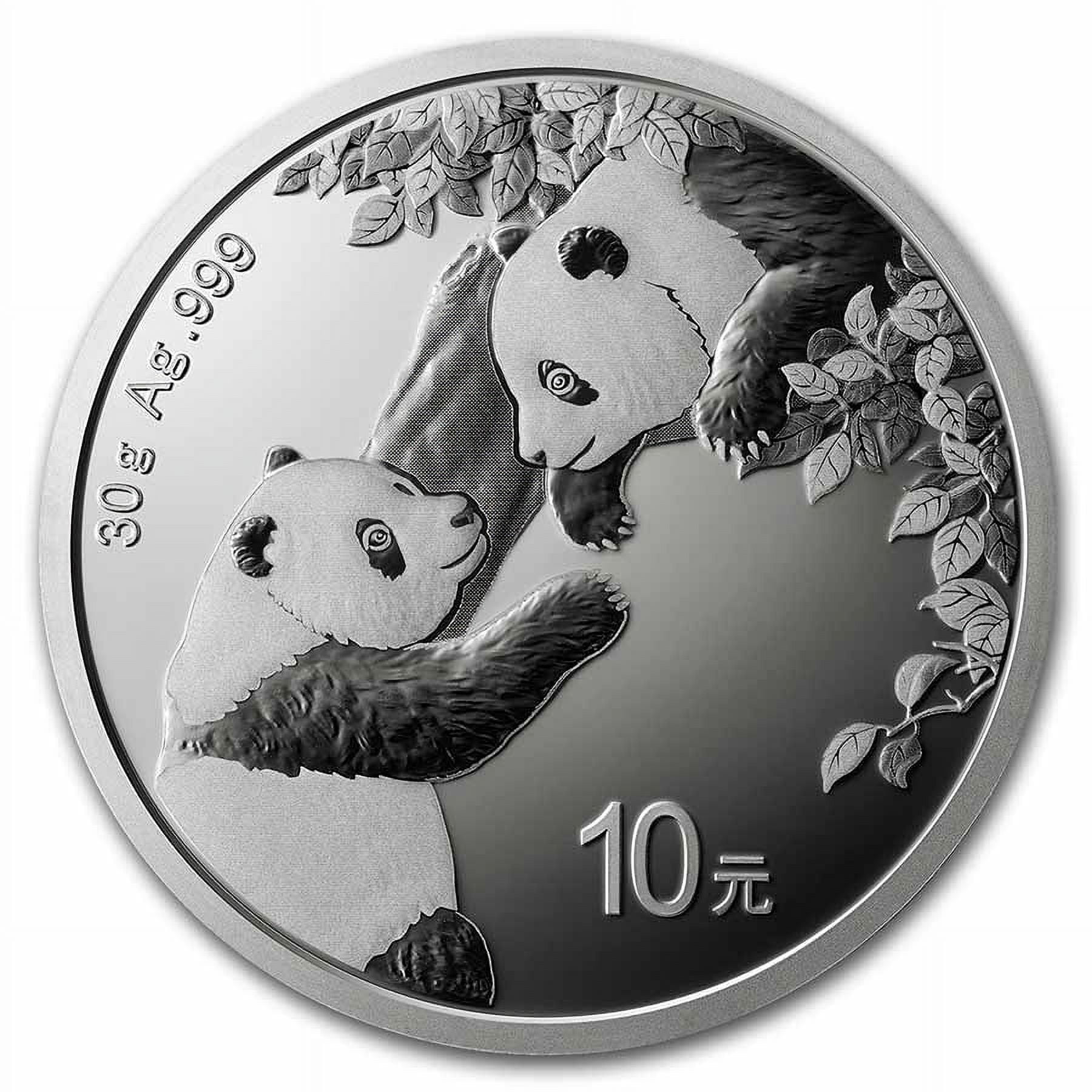 Panda Silver Coin