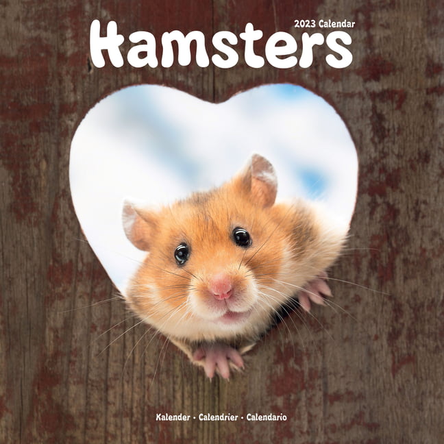 2023 Hamsters for free 26 5, 