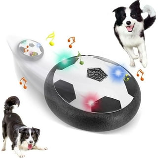 YVE LIFE Interactive Dog Ball Toys,Durable Motion Activated