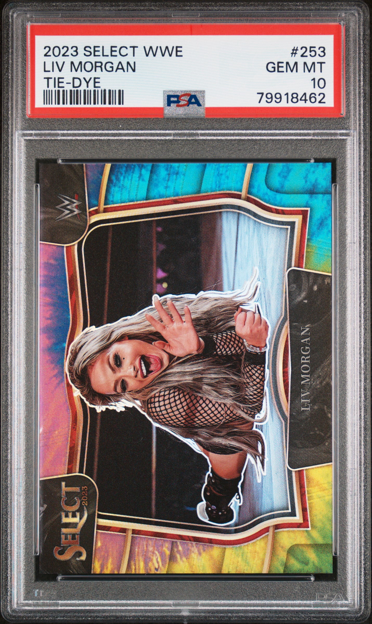 Panini Select Trading Cards Toys