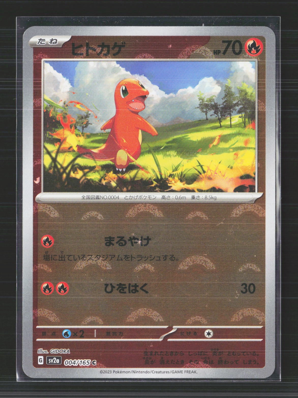 Charmander Ex Charmander Ex