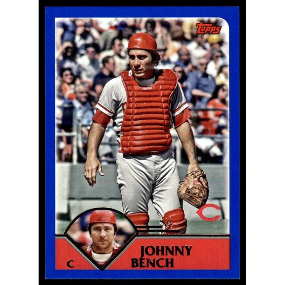 2023 Topps Archives Baseball Card Johnny Bench Cincinnati Reds #294