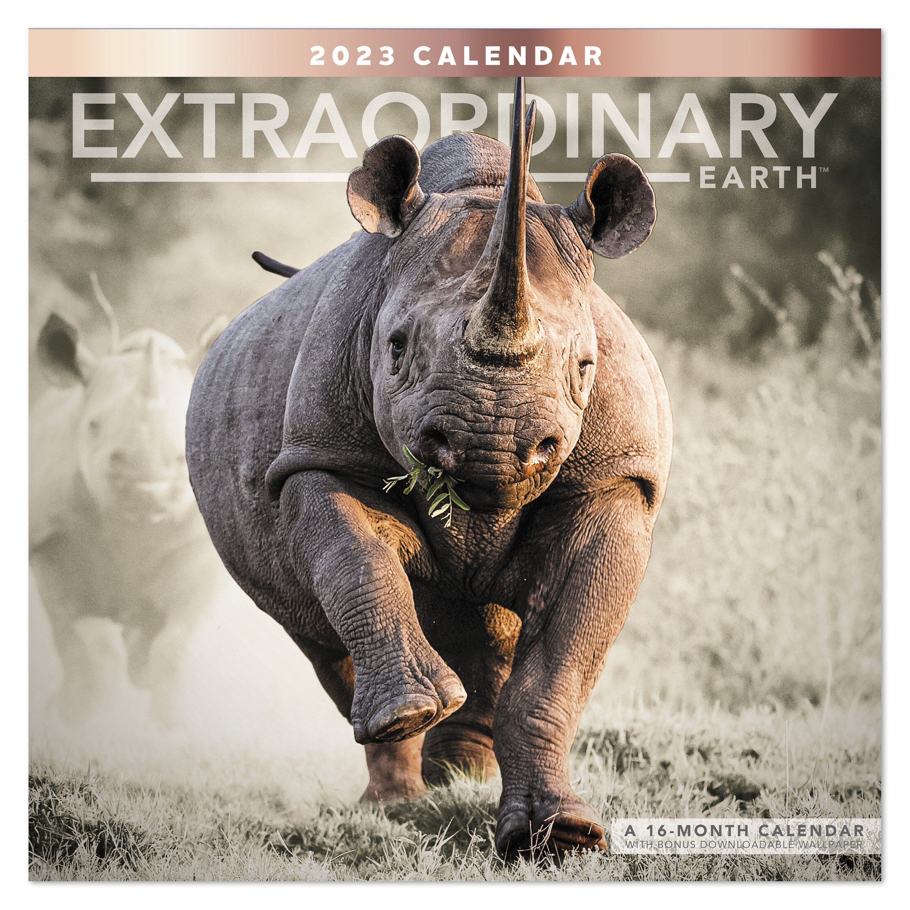 2023 Wall Calendar, Extraordinary Earth, 12" x 12" by Mead (WMET1810-23)