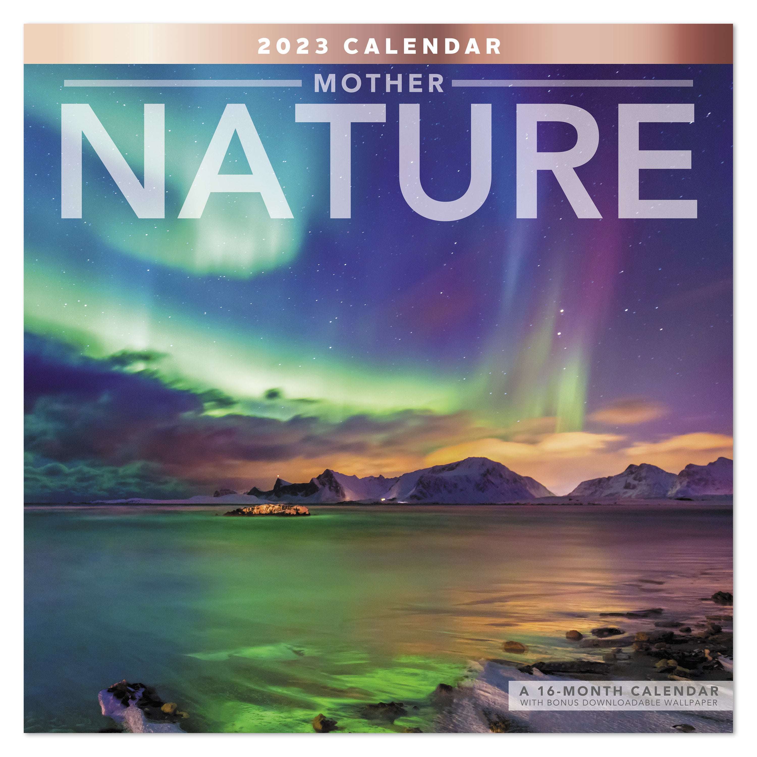 2023 Wall Calendar, Mother Nature, 12" x 12" by Mead (WMET091023)