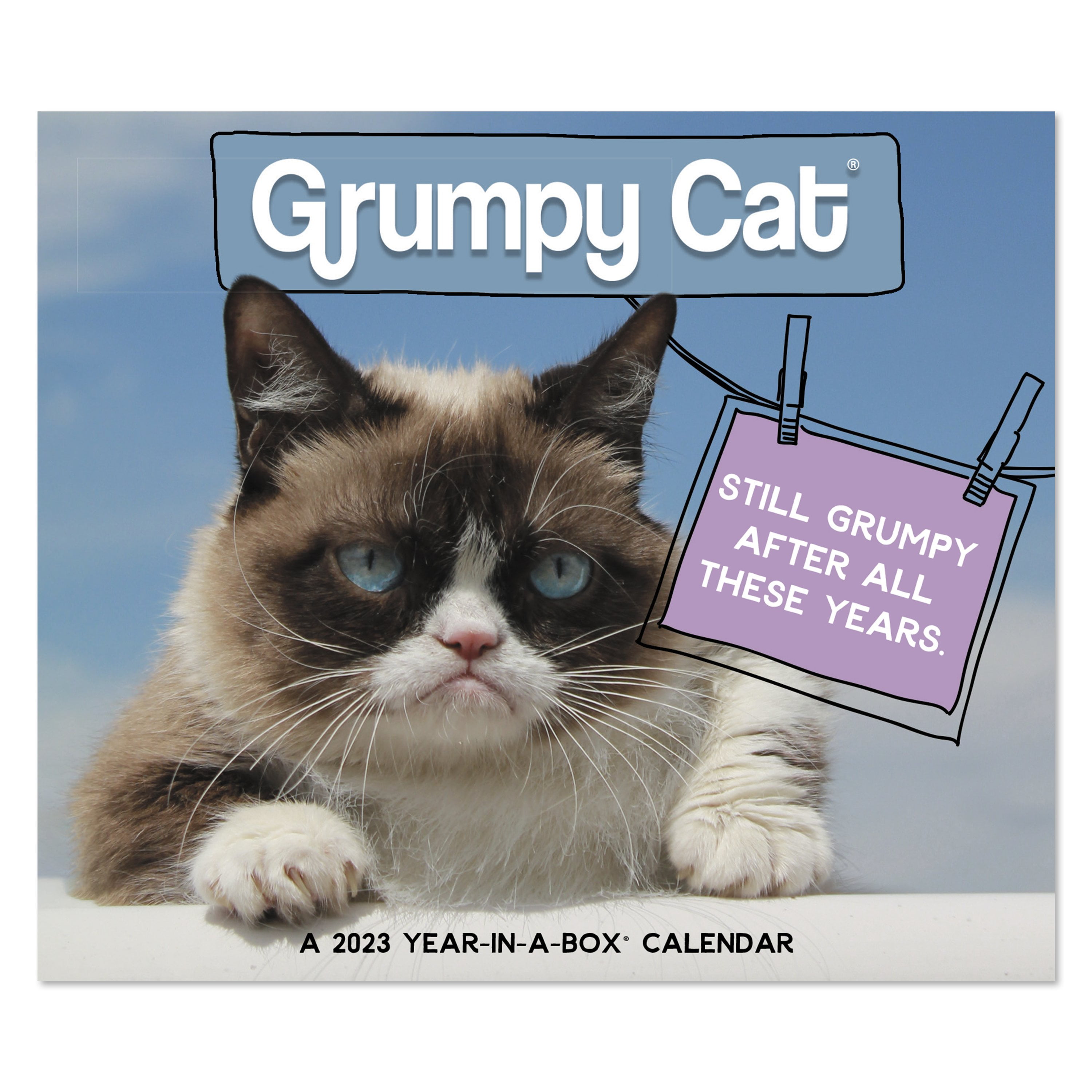 2023 Year In A Box Calendar, Grumpy Cat, 4 3/8" x 5" by Mead (WMBL4700-23)