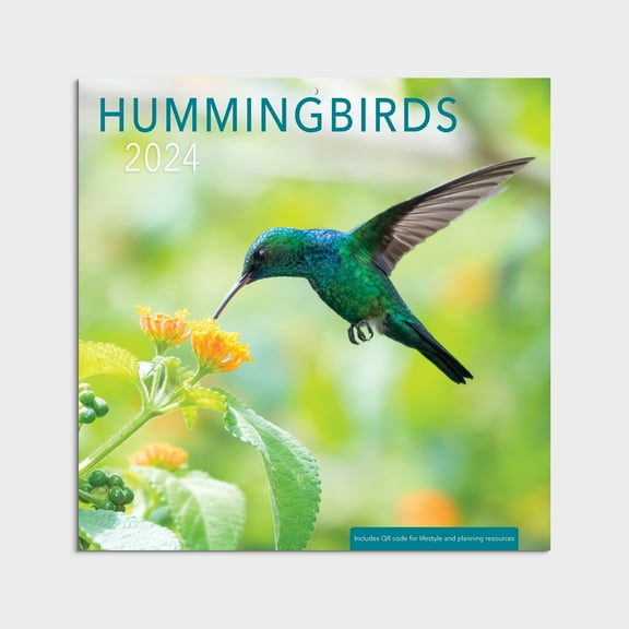 2024 -12 Month Cal Hummingbirds 12x12 Hanging Wall Calendar by DaySpring