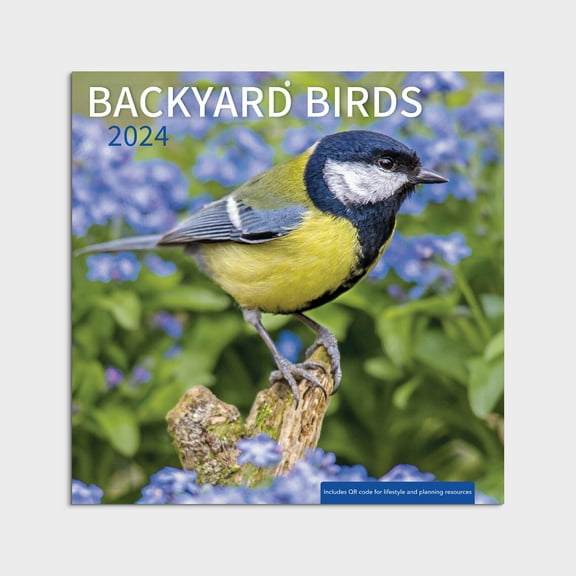 2024-12 Month Hanging Wall Calendar-Backyard Birds -12x12 by Dayspring