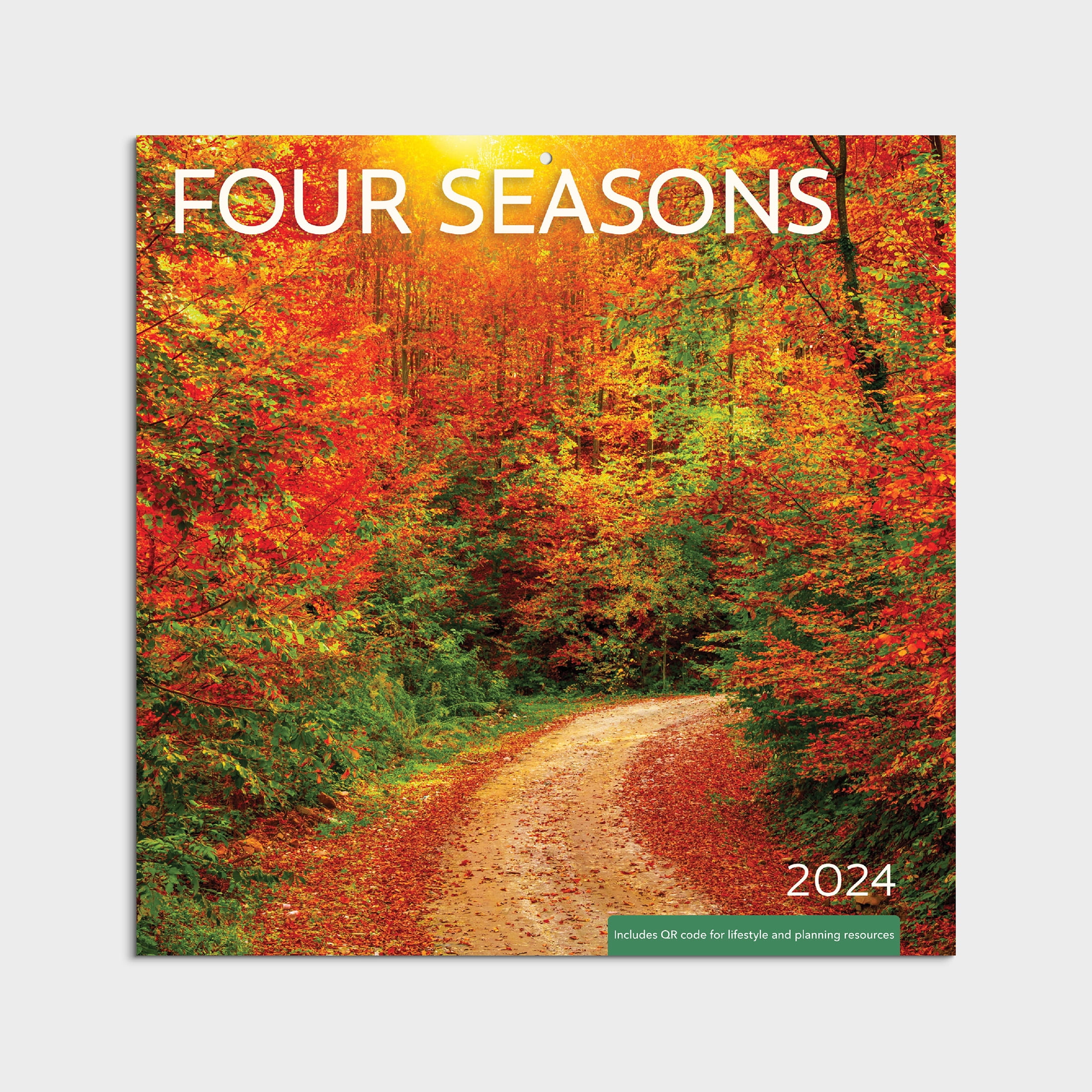 202412 Month Hanging Wall CalendarFour Seasons12x12 by Dayspring
