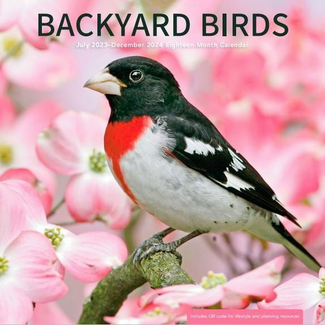202418 Month CalendarBackyard Birds 12x12 Hanging Wall Calendar by