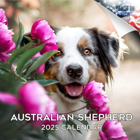 2025 2026 Australian Shepherd Calendar - Dog Breed Monthly Wall Calendar - 12 x 24 Open - Thick No-Bleed Paper - Giftable - Academic Teacher's Planner Calendar Organizing & Planning - Made in USA