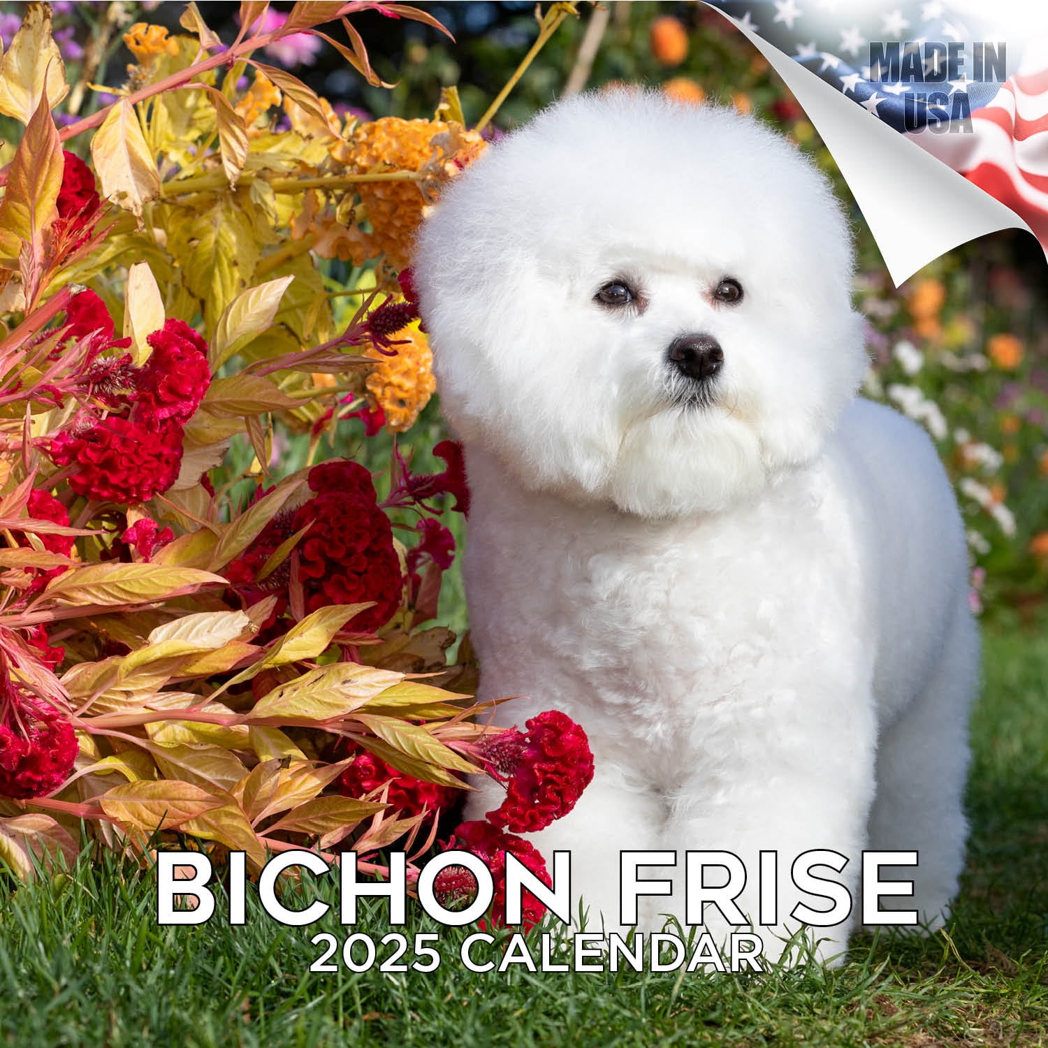2024 2025 Bichon Frise Calendar Dog Breed Monthly Wall Calendar 12