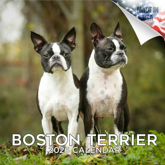 2025 2026 Boston Terrier Calendar - Dog Breed Monthly Wall Calendar - 12 x 24 Open - Thick No-Bleed Paper - Giftable - Academic Teacher's Planner Calendar Organizing & Planning - Made in USA