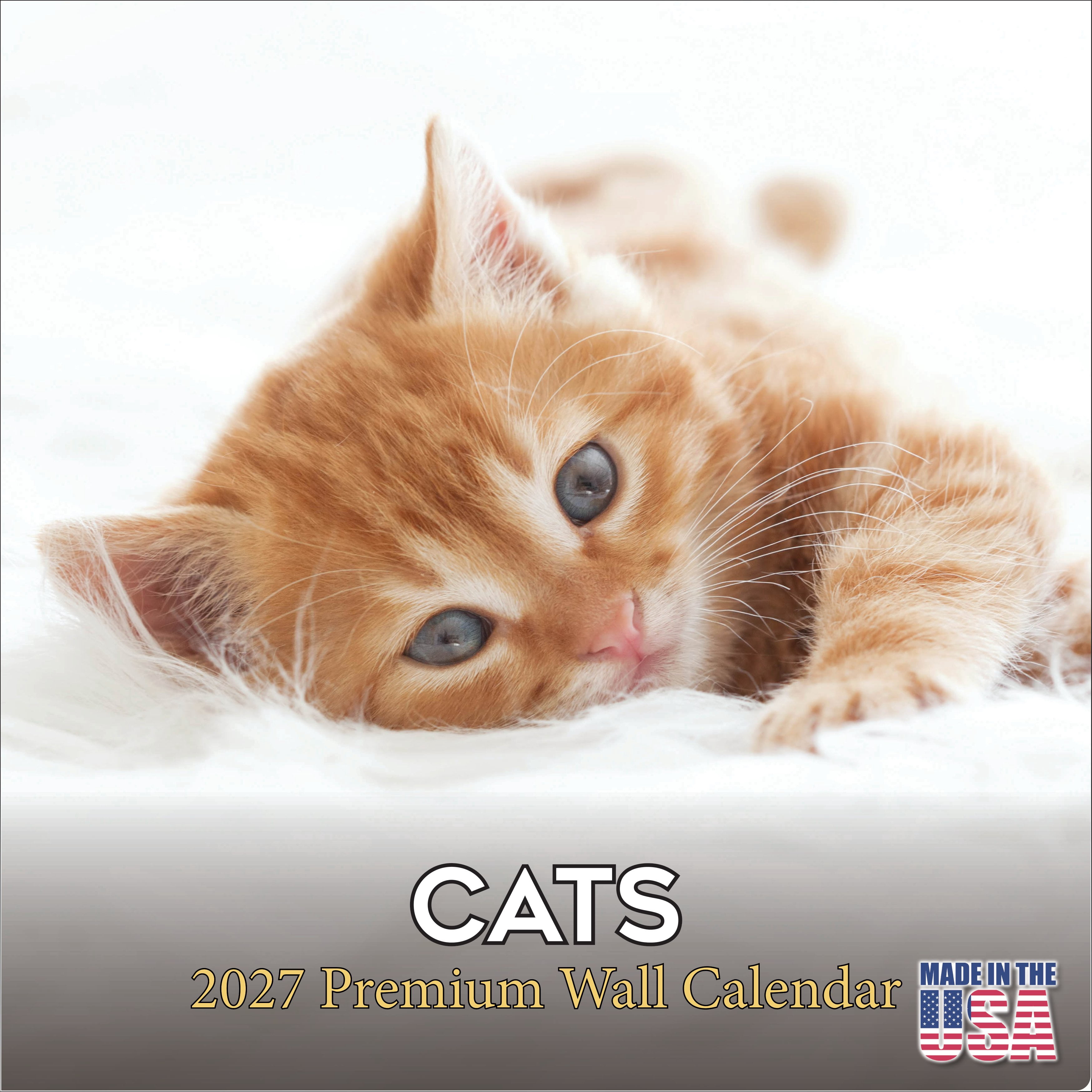 MegaCalendars 2026-2027 Cats Wall Calendar, 12x12 Bonus Month Feline ...