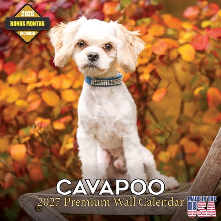 MegaCalendars 2026-2027 Cavapoo Wall Calendar, 12x12 Bonus Month Monthly Planner, Made in USA