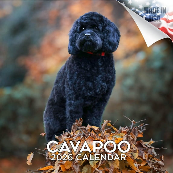 2025 2026 Cavapoo Calendar - Dog Breed Monthly Wall Calendar - 12 x 24 Open - Thick No-Bleed Paper - Giftable - Academic Teacher's Planner Calendar Organizing & Planning - Made in USA